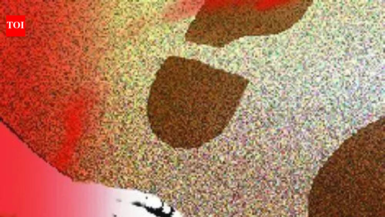नसरापूर खटला निर्णायक टप्प्यात; 48 साक्षीदार तपासण्यात आल्याचे सरकारी वकिलांचे म्हणणे आहे